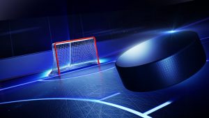 Hockey and SEO