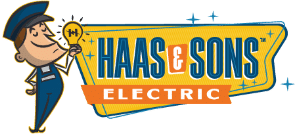 Logo Haas And Sons